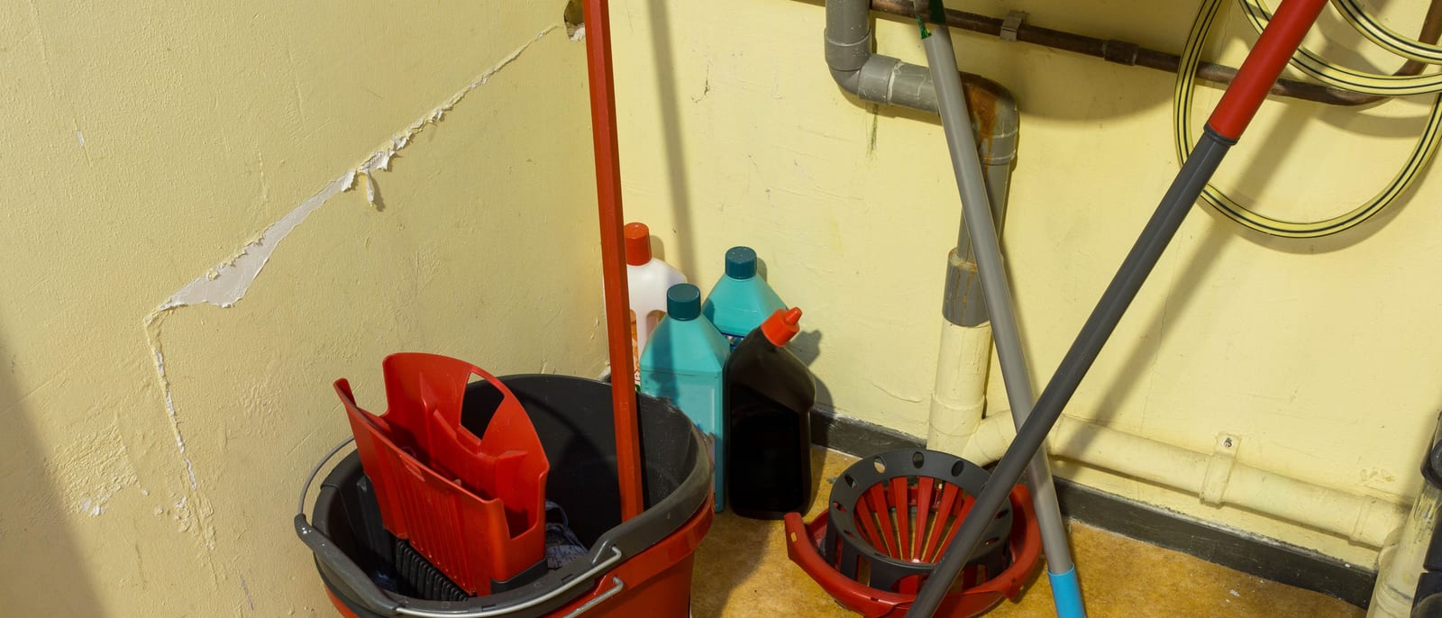 Plastic trigger spray bottles of cleaning product lined up on a shelf