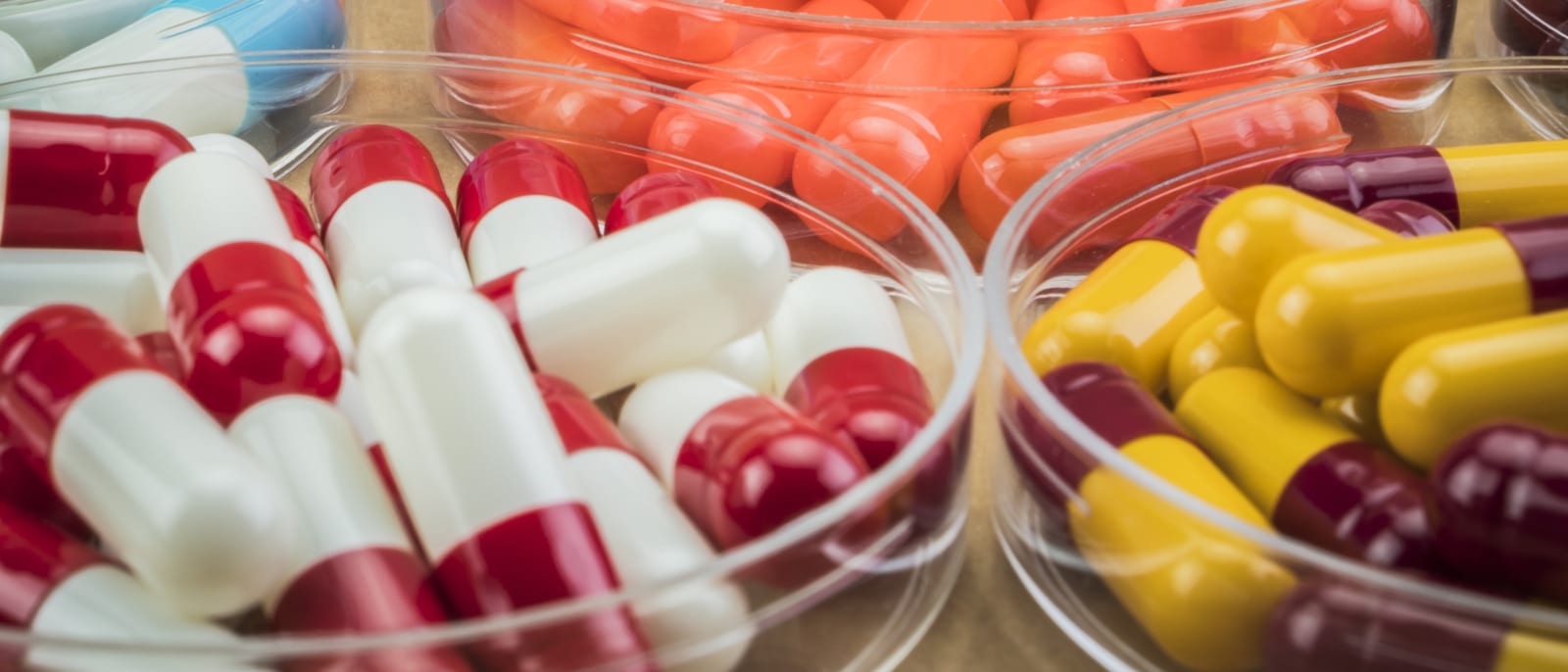 Rows of colored prescription capsules arranged on a pharmacy counter