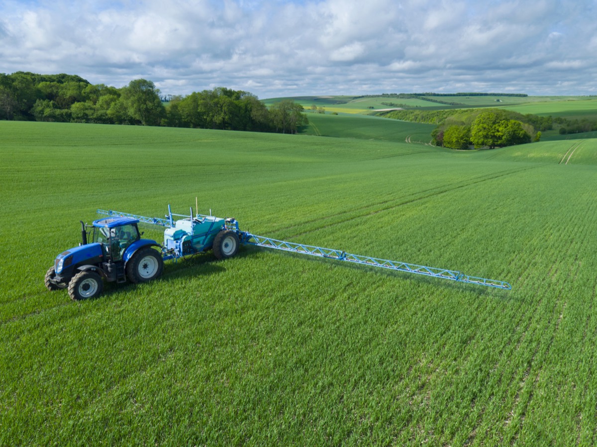 Tractor spraying pesticide over rows of young crops in a farm field