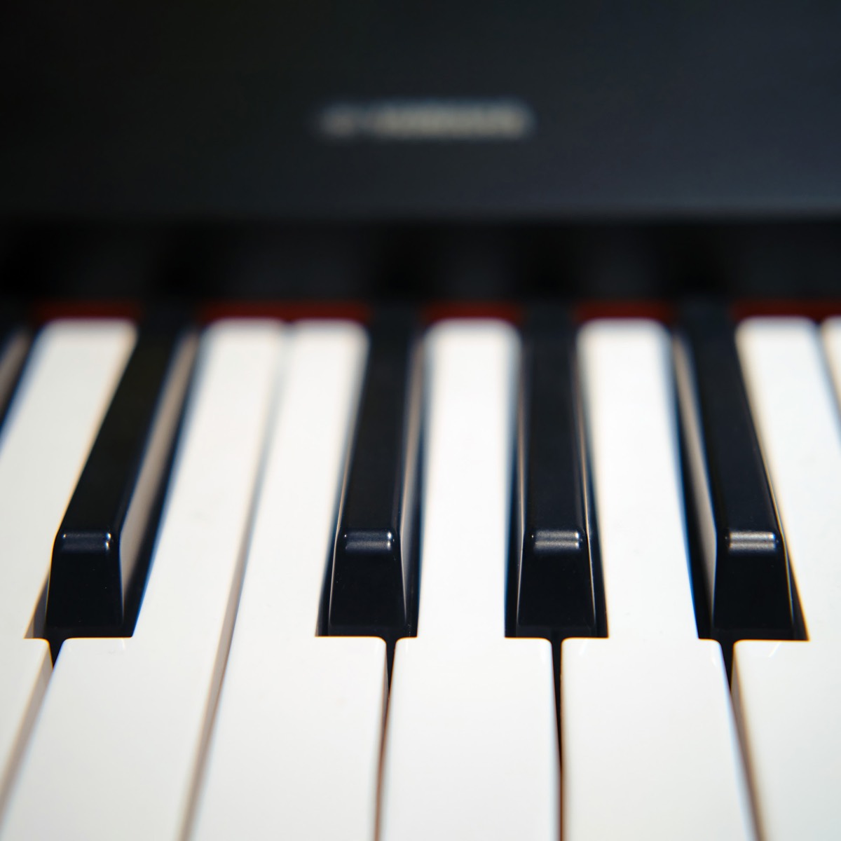 Close-up of the black and white keys of a grand piano keyboard
