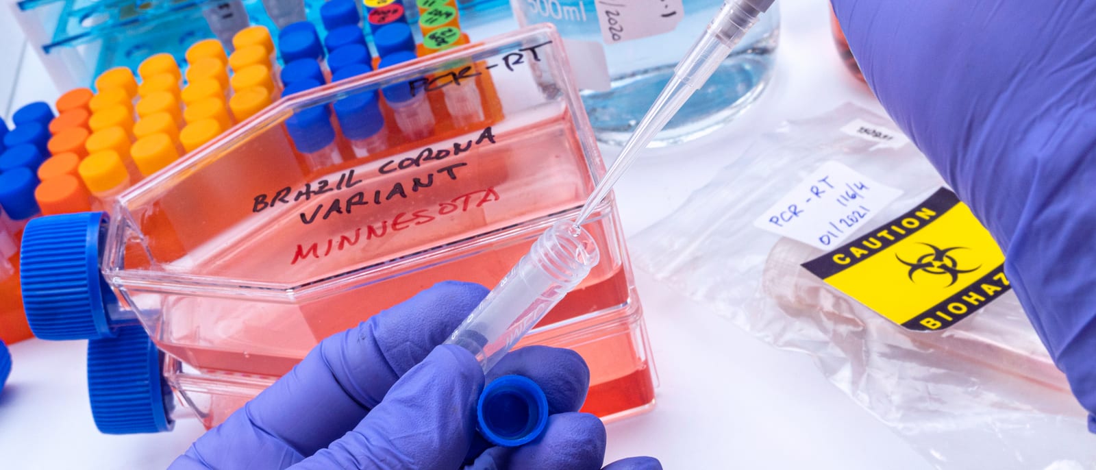 Scientist examining a clear vial in a pharmaceutical research laboratory
