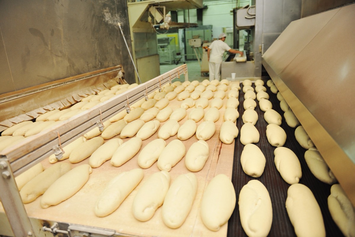 Industrial bakery production line with bread moving along a conveyor